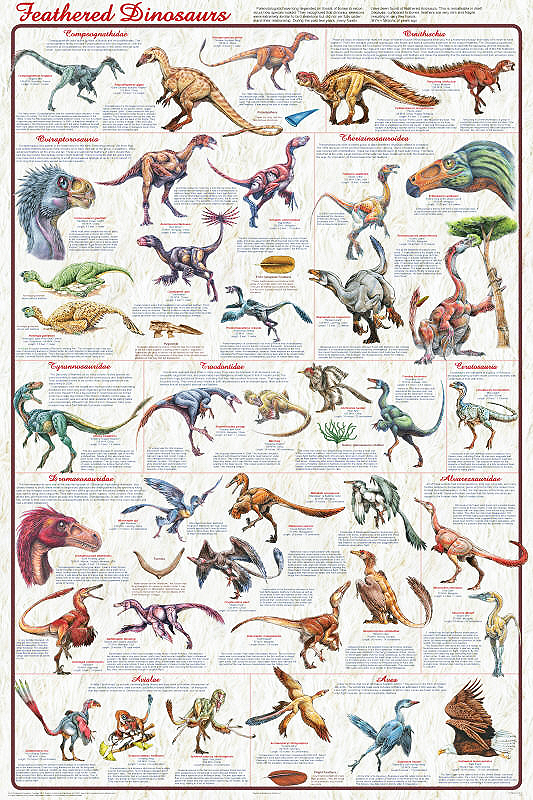 list of feathered dinosaurs